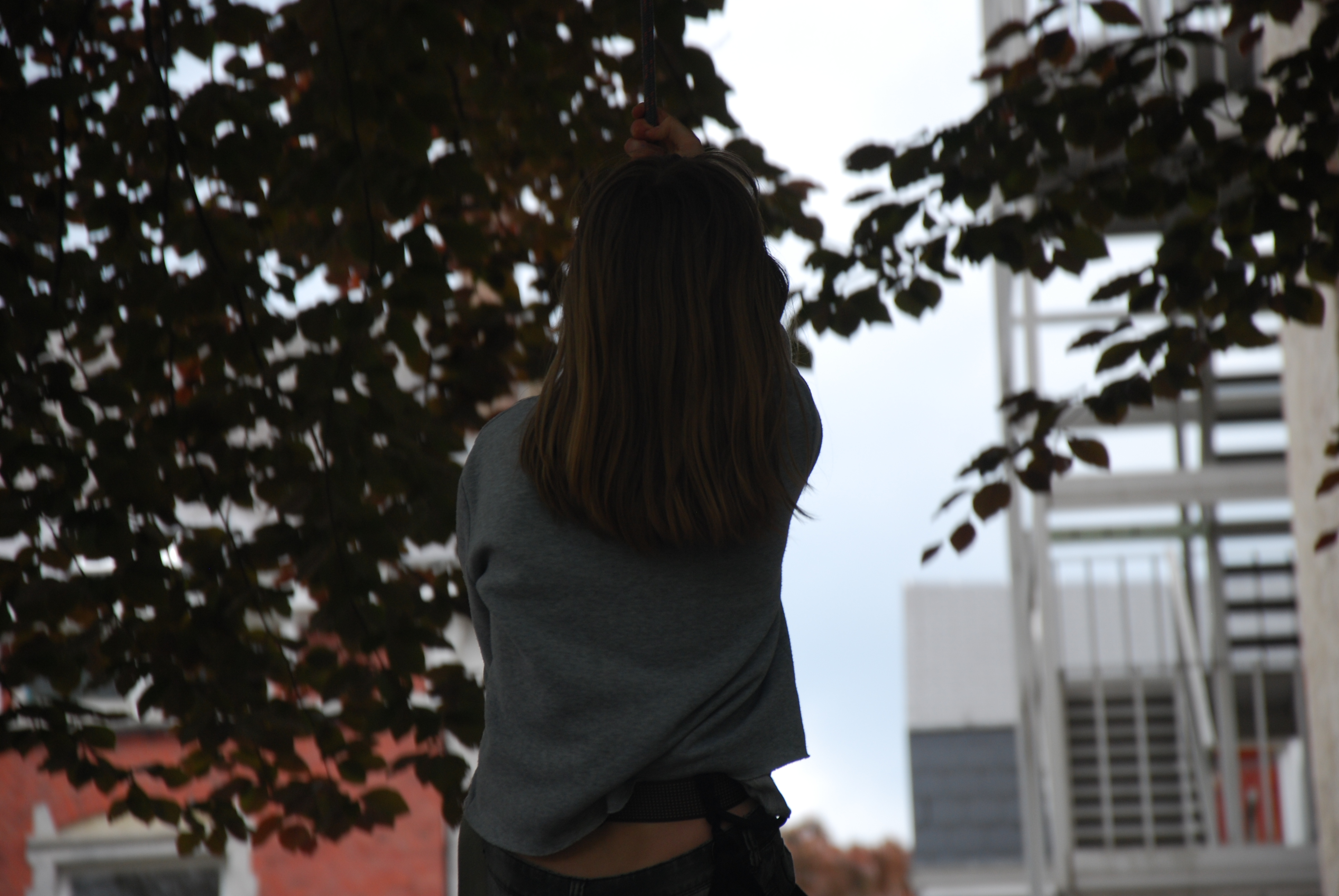 DSC_0253